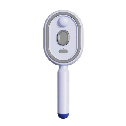 2-In-1 Misting Hair Brush