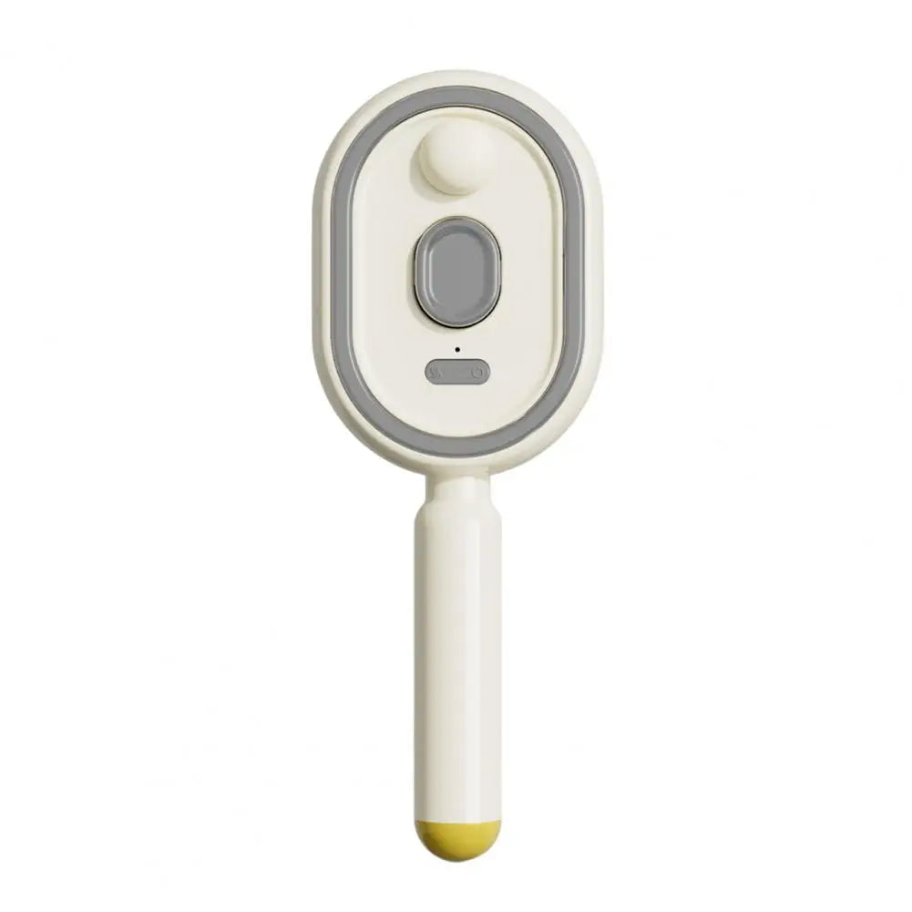 2-In-1 Misting Hair Brush