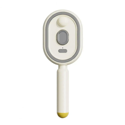 2-In-1 Misting Hair Brush