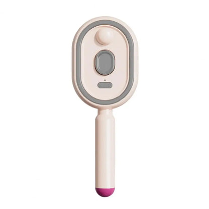 2-In-1 Misting Hair Brush